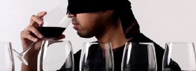 👀 Vinsmagning med lukkede øjne: Kan du smage forskel? - DH Wines