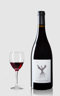 Spanish White Wine 