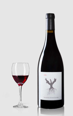 Ribera del Duero
