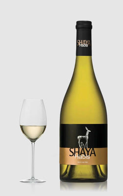 White wines 200–500 kr 