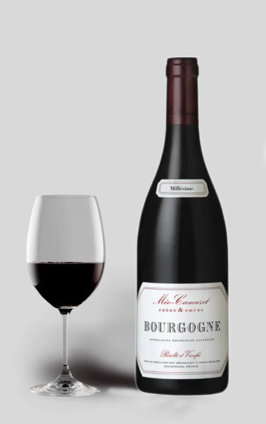 Cote D´or 2020 Cuvee Hemisphere Nord, Domaine Méo-Camuzet 2021